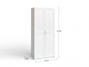2.06.01.050.4 МАКС шкаф 2 двери 100х61х233 серый RU в Березниках - berezniki.ok-mebel.com | фото 4