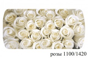БОСТОН - 3 Стол раздвижной 1100/1420 опоры Брифинг в Березниках - berezniki.ok-mebel.com | фото 39