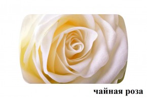 БОСТОН - 3 Стол раздвижной 1100/1420 опоры Брифинг в Березниках - berezniki.ok-mebel.com | фото 46