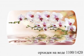 БОСТОН - 3 Стол раздвижной 1100/1420 опоры Брифинг в Березниках - berezniki.ok-mebel.com | фото 66
