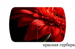 БОСТОН - 3 Стол раздвижной 1100/1420 опоры Триумф в Березниках - berezniki.ok-mebel.com | фото 18
