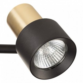 Бра Citilux SAT CL505621 в Березниках - berezniki.ok-mebel.com | фото 8