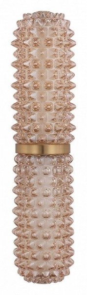 Бра ST-Luce SAGUARO SL6144.301.01 в Березниках - berezniki.ok-mebel.com | фото 4