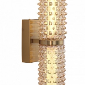 Бра ST-Luce SAGUARO SL6144.301.01 в Березниках - berezniki.ok-mebel.com | фото 6