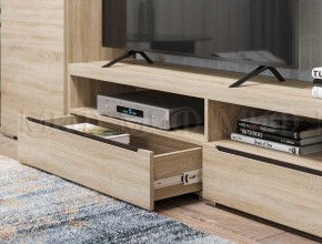 ЭКОЛЬ Гостиная Вариант №3 МДФ (Дуб сонома) в Березниках - berezniki.ok-mebel.com | фото 2