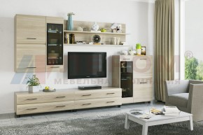 Гостиная Камелия Композиция 6 (Ясень Асахи) в Березниках - berezniki.ok-mebel.com | фото