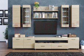 Гостиная Камелия Композиция 9 (Ясень Асахи) в Березниках - berezniki.ok-mebel.com | фото