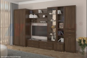 Гостиная Карина Композиция 11 (Акация Молдау) в Березниках - berezniki.ok-mebel.com | фото