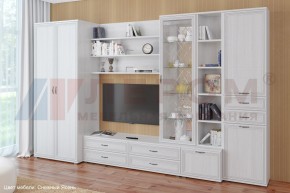 Гостиная Карина Композиция 11 (Снежный ясень) в Березниках - berezniki.ok-mebel.com | фото