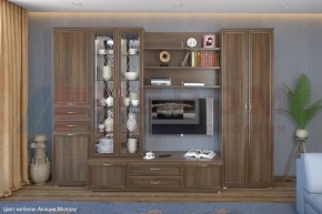 Гостиная Карина Композиция 14 (Акация Молдау) в Березниках - berezniki.ok-mebel.com | фото