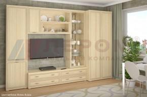 Гостиная Карина Композиция 16 (Ясень Асахи) в Березниках - berezniki.ok-mebel.com | фото