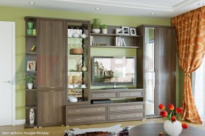 Гостиная Карина Композиция 20 (Акация Молдау) в Березниках - berezniki.ok-mebel.com | фото