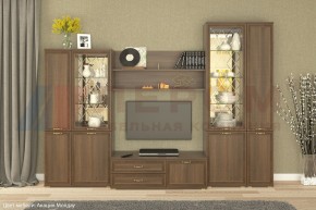 Гостиная Карина Композиция 24 (Акация Молдау) в Березниках - berezniki.ok-mebel.com | фото