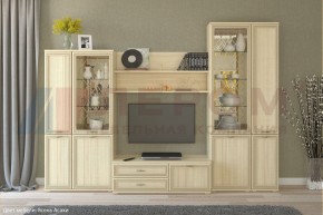 Гостиная Карина Композиция 24 (Ясень Асахи) в Березниках - berezniki.ok-mebel.com | фото