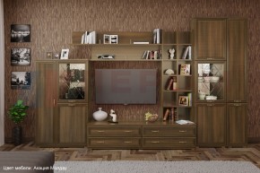 Гостиная Карина Композиция 5 (Акация Молдау) в Березниках - berezniki.ok-mebel.com | фото