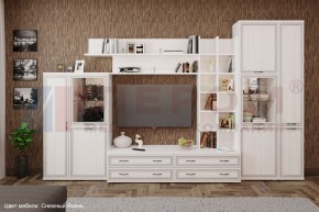 Гостиная Карина Композиция 5 (Снежный ясень) в Березниках - berezniki.ok-mebel.com | фото