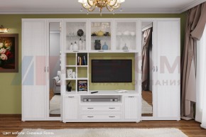 Гостиная Карина Композиция 6 (Снежный ясень) в Березниках - berezniki.ok-mebel.com | фото