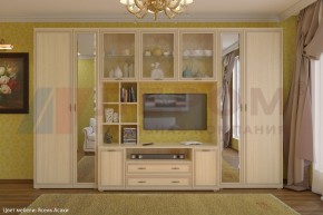 Гостиная Карина Композиция 6 (Ясень Асахи) в Березниках - berezniki.ok-mebel.com | фото