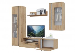 Гостиная Омега (Крафт золотой-Бетон) в Березниках - berezniki.ok-mebel.com | фото 4