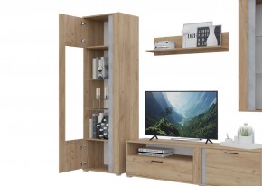 Гостиная Омега (Крафт золотой-Бетон) в Березниках - berezniki.ok-mebel.com | фото 5