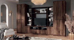 ПРЕМЬЕР Гостиная (Дуб Самдал) в Березниках - berezniki.ok-mebel.com | фото