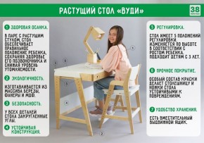 Комплект растущий стол и стул с чехлом 38 попугаев «Вуди» (Серый, Береза, Салют) в Березниках - berezniki.ok-mebel.com | фото