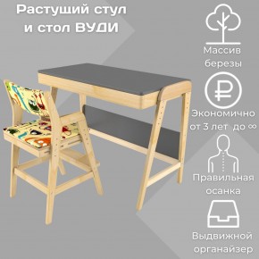 Комплект растущий стол и стул с чехлом 38 попугаев «Вуди» (Серый, Без покрытия, Монстры) в Березниках - berezniki.ok-mebel.com | фото