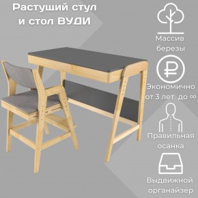 Комплект растущий стол и стул с чехлом 38 попугаев «Вуди» (Серый, Без покрытия, Серый) в Березниках - berezniki.ok-mebel.com | фото