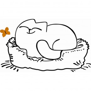 Кровать двухуровневая Кот № 900.1 ПРАВАЯ (туя светлая/белый) в Березниках - berezniki.ok-mebel.com | фото 2