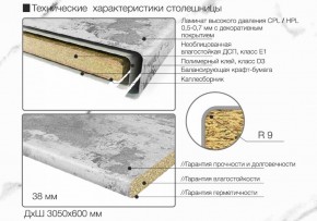 Кухонный фартук со столешницей (А-01) в едином стиле (3050 мм) в Березниках - berezniki.ok-mebel.com | фото 6