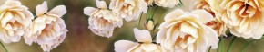 Кухонный фартук Цветы 066 МДФ матовый (3000) Flowers в Березниках - berezniki.ok-mebel.com | фото 1