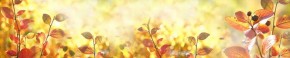 Кухонный фартук Цветы 318 МДФ матовый (3000) Flowers в Березниках - berezniki.ok-mebel.com | фото