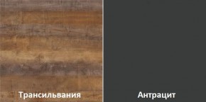 Кухонный гарнитур угловой Трансильвания 2600х1600 мм (Стол. 38 мм) в Березниках - berezniki.ok-mebel.com | фото 3