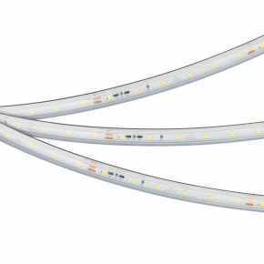 Лента светодиодная Arlight IC-PS-A60-10mm 24V 050656 в Березниках - berezniki.ok-mebel.com | фото