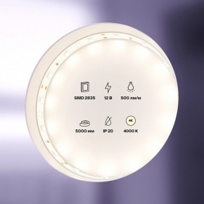 Лента светодиодная Maytoni Led strip 10103 в Березниках - berezniki.ok-mebel.com | фото 2