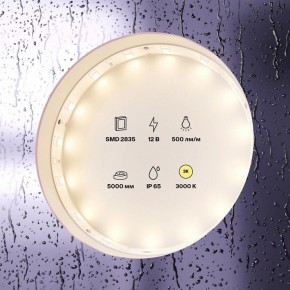 Лента светодиодная Maytoni Led strip 10105 в Березниках - berezniki.ok-mebel.com | фото 2