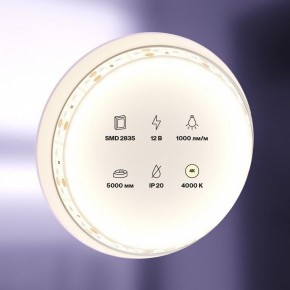 Лента светодиодная Maytoni Led strip 10109 в Березниках - berezniki.ok-mebel.com | фото 2