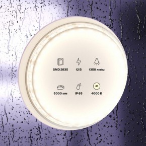 Лента светодиодная Maytoni Led strip 10118 в Березниках - berezniki.ok-mebel.com | фото 2