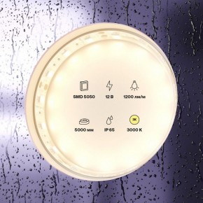Лента светодиодная Maytoni Led strip 10131 в Березниках - berezniki.ok-mebel.com | фото 2
