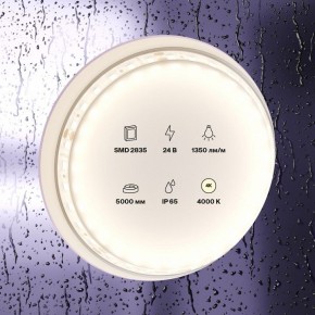 Лента светодиодная Maytoni Led strip 10152 в Березниках - berezniki.ok-mebel.com | фото 2