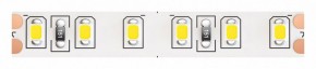 Лента светодиодная Maytoni Led strip 10153 в Березниках - berezniki.ok-mebel.com | фото