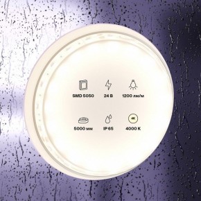Лента светодиодная Maytoni Led strip 10172 в Березниках - berezniki.ok-mebel.com | фото 2