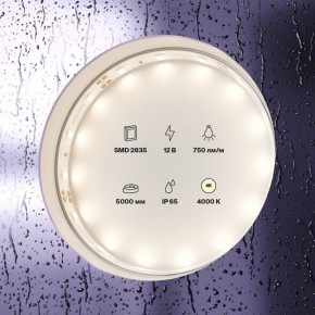 Лента светодиодная Maytoni Led strip 20005 в Березниках - berezniki.ok-mebel.com | фото 2