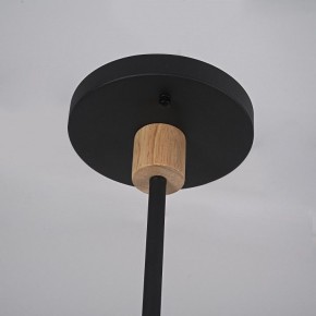 Люстра на штанге Imperiumloft TURNA Black TURNA-DBL01 в Березниках - berezniki.ok-mebel.com | фото 9