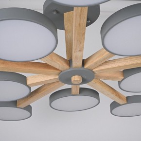 Люстра на штанге Imperiumloft TURNA Gray TURNA-B01 в Березниках - berezniki.ok-mebel.com | фото 10