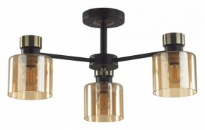 Люстра на штанге Lumion ARLIN 5643/3C в Березниках - berezniki.ok-mebel.com | фото