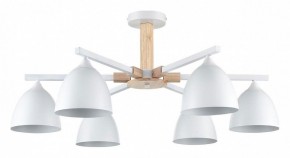 Люстра на штанге Lumion Colange 8095/6C в Березниках - berezniki.ok-mebel.com | фото