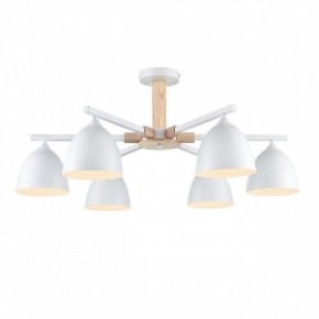 Люстра на штанге Lumion Colange 8095/6C в Березниках - berezniki.ok-mebel.com | фото 2