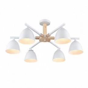 Люстра на штанге Lumion Colange 8095/6C в Березниках - berezniki.ok-mebel.com | фото 3