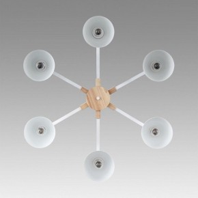 Люстра на штанге Lumion Colange 8095/6C в Березниках - berezniki.ok-mebel.com | фото 4